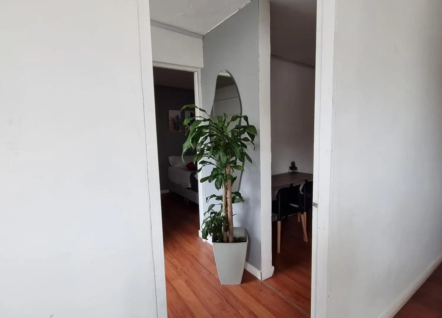 Hermoso Apartamento Con Terraza En Laureles Apartment Medellin Colombia